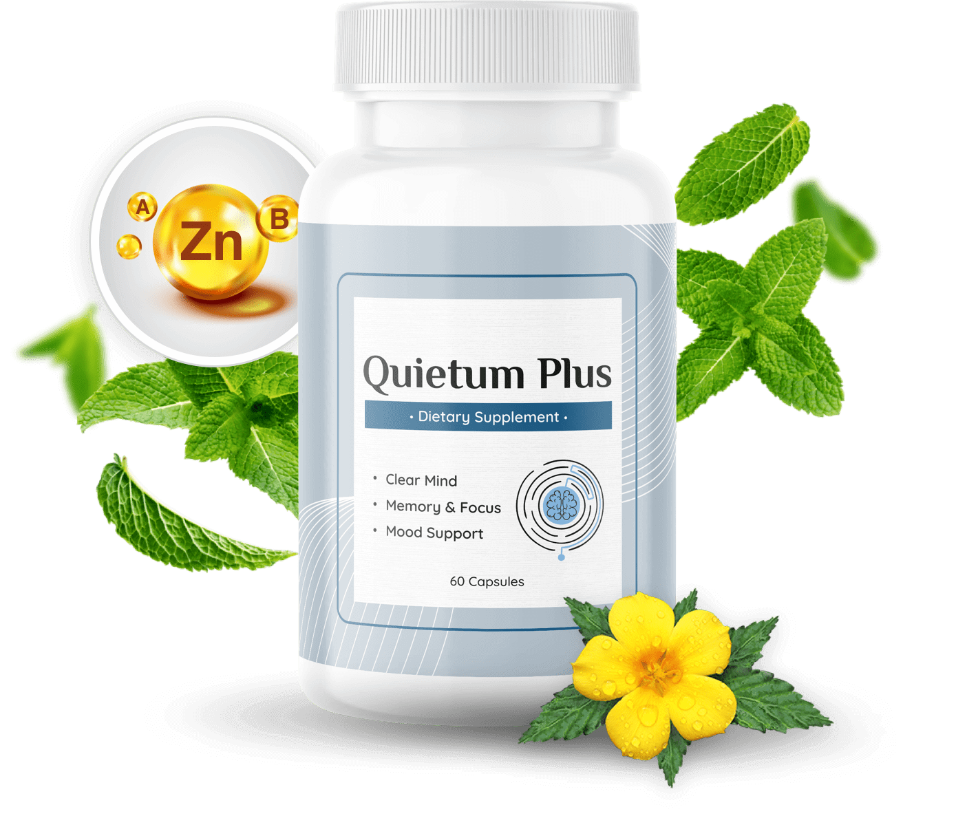 Quietum Plus Supplement